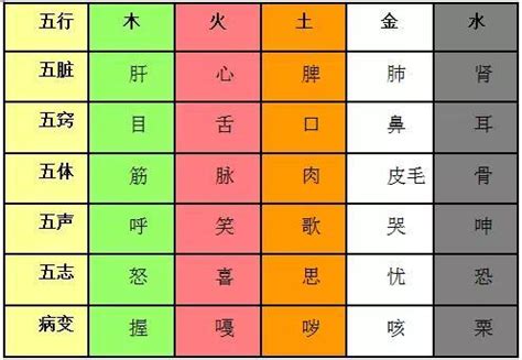 五行經絡|經絡學說